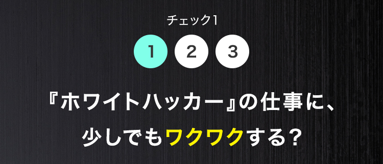 チェック1
1 2 3
『ホワイトハッカー』 の仕事に、
少しでもワクワクする?