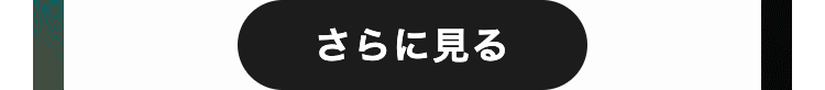 さらに見る